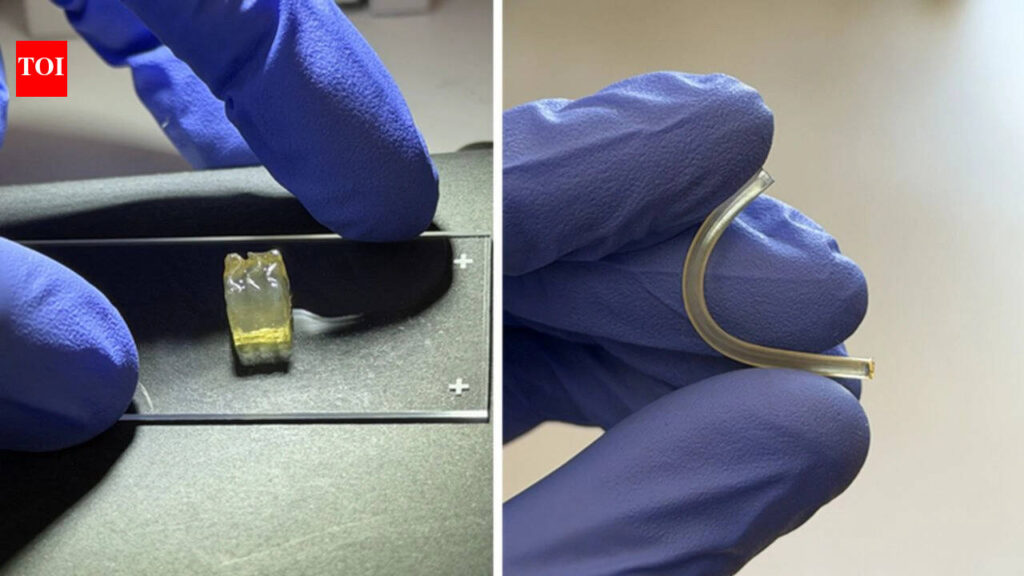 Scientists create liver and kidney tissues in space for the first time in a microgravity environment: Expected to change the future of biological manufacturing |