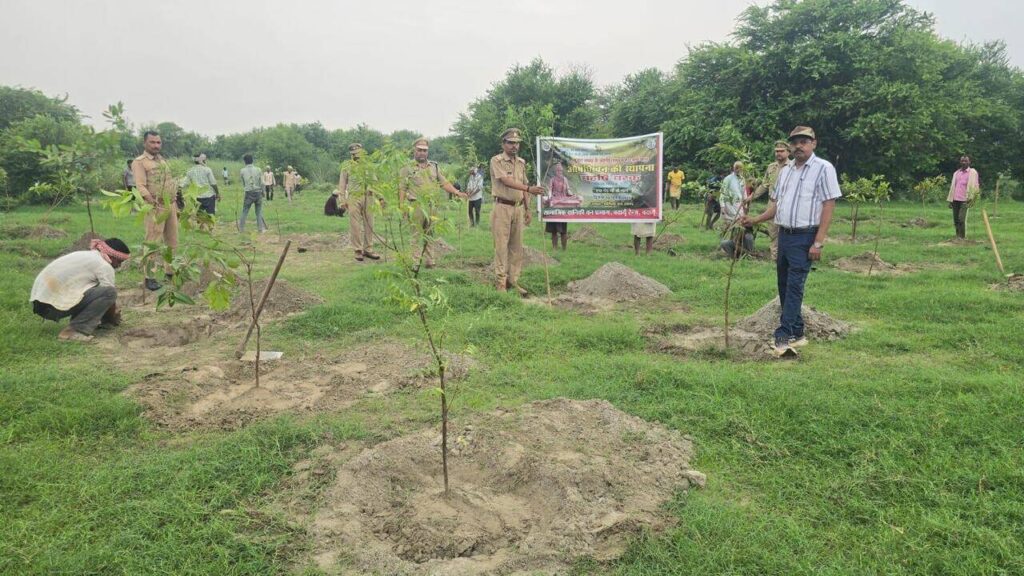 1.9 lakh Charak Vatikas planted across state | Lucknow News