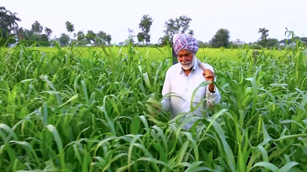 Farm loans with less paperwork? Centre explores digital land record link |