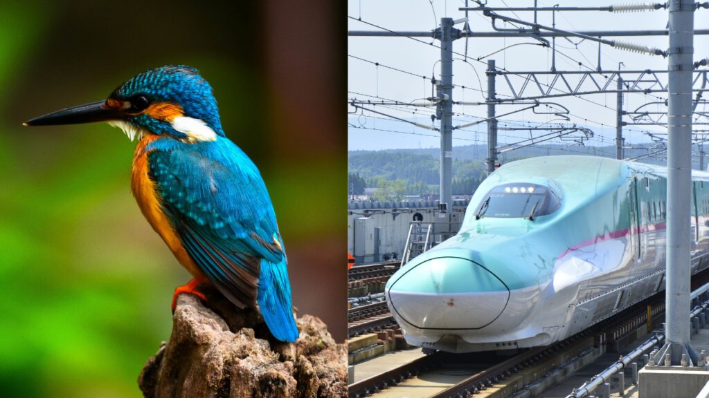 How a kingfisher’s beak inspired Japan’s bullet train and solved its tunnel boom problem |