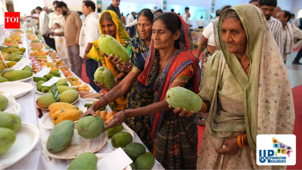 Amroha: A thriving economy along river Ganga | Lucknow News
