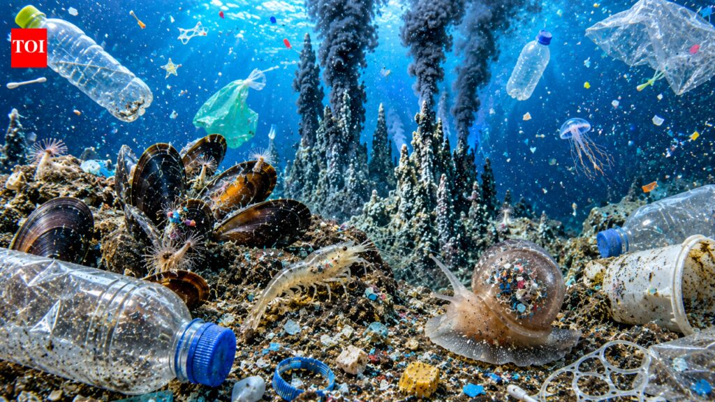 Scientists looked 2,000 metres below the ocean and found microplastics in 92% of deep-sea animals, revealing plastic has reached Earth’s most remote ecosystems and could threaten marine food webs |