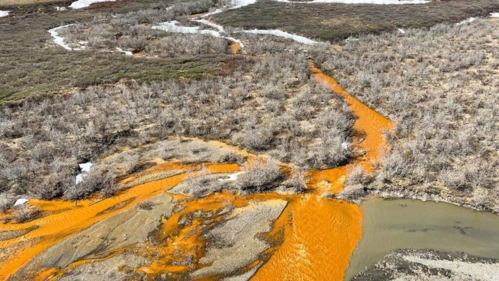 Alaska’s crystal-clear rivers are turning vivid orange: Metal pollution is creating ‘rusting’ waterways, threatening wildlife, habitats and drinking water |