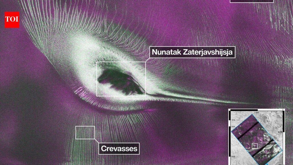 Nasa’s NISAR satellite captures a striking ‘hummingbird’ pattern hidden in Antarctica’s ice |