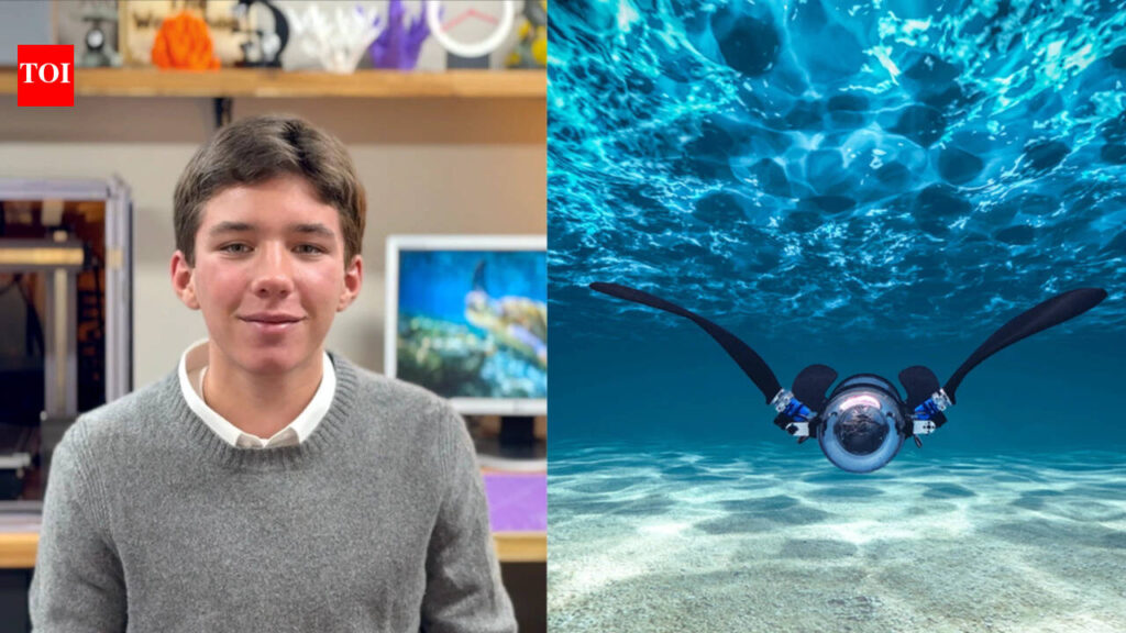 This 16-year-old Canadian student built an AI robot turtle that hunts plastic invisible to the eye, and won $50,000 for it