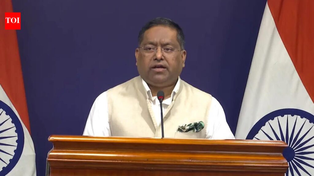 Grain Shipment India Russia: Grain, not guns: MEA rejects Russia’s claim on deadly ship attack that killed 4 Indians | India News