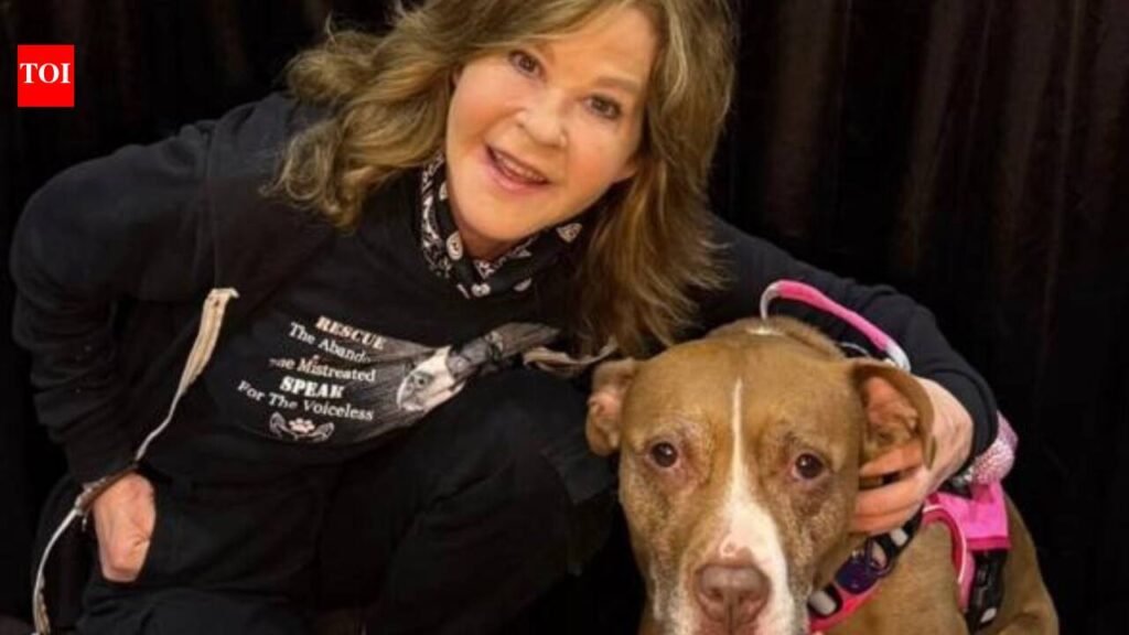 ‘Exorcist’ star Linda Blair’s California residence gets raided by Animal Control and others over 100-dog kennel operation |