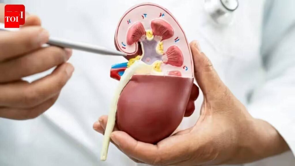 Pregnancy found growing near kidneys in rare medical case | India News