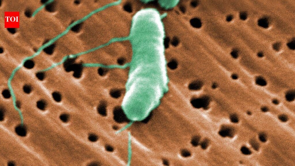 Florida’s first flesh-eating bacteria death of 2026 raises concerns during beach season as warm waters fuel infections |
