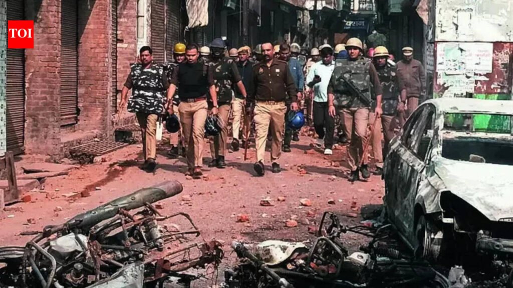 Sambhal violence 2024: Probe panel claims unrest ‘pre-planned’, links Samajwadi MP, MLA | India News
