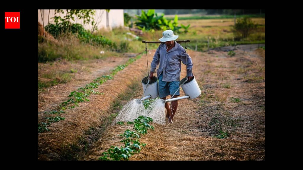 UPSC topic: India’s agricultural calendar divided by kharif, rabi and zaid seasons