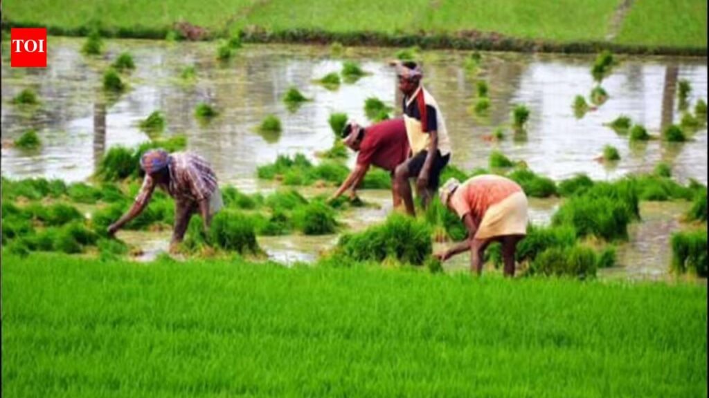 Agriculture Growth in UP: Another Feather in The Cap | Lucknow News