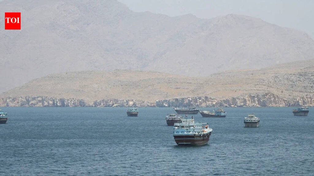 Middle East standoff: Why Gulf states may accept that Iran will control the Strait of Hormuz