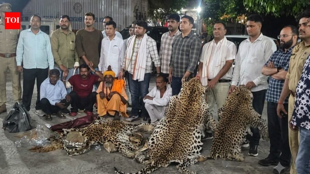 Sacked Delhi Police constable held for killing of 10 leopards in Kuno National Park
