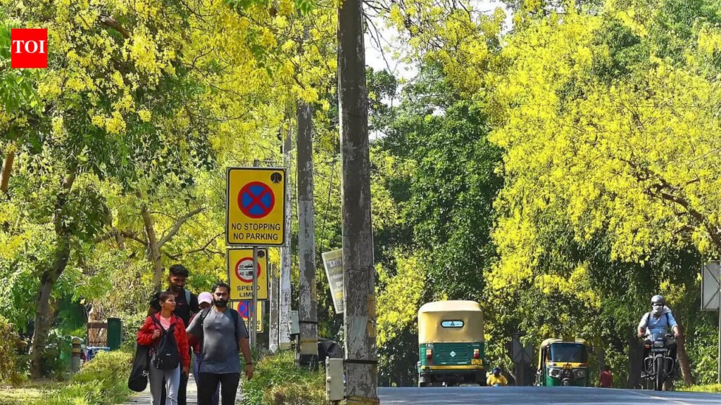 CAG finds 98% shortfall in Green India Mission forest cover targets, red-flags multiple lapses