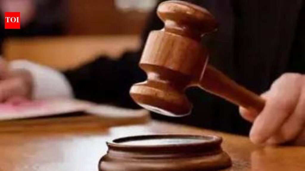 Court rejects bail of UK nat’l held in UP for illegal travel